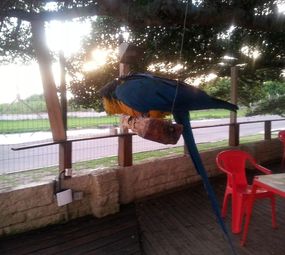 Lagoon Restaurant & Pub Bar photo 6