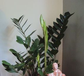 Aline Atayde Vernier - Psicóloga Clínica e Hospitalar photo 6