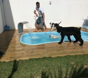 Dog Fun Espaço Canino photo 9