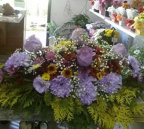 Floricultura Brinco de Princesa