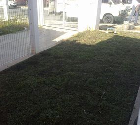 Terra e Flor - Jardinagem e Paisagismo  photo 3