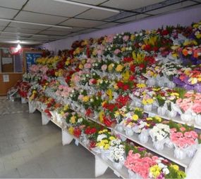 Funerária e Floricultura Muller photo 6