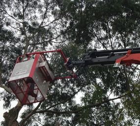 Andrade Construção e Reforma