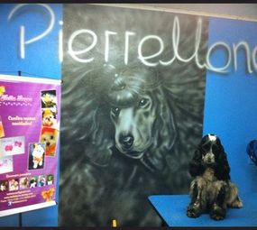 Centro Estético Animal Pierre Mancio photo 5