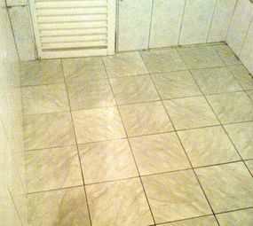 Rafael Reformas em Geral