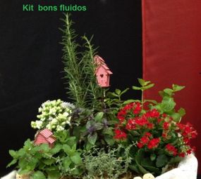 Confecção de Arranjos de Flores Floricultura Anie Flores, São José