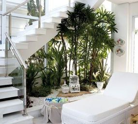 SNA Paisagismo photo 10