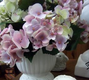 Paisagem Interior Decoração photo 5