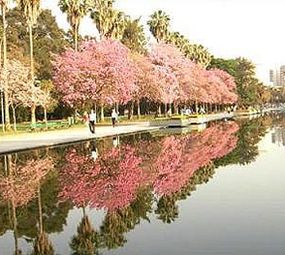 Parque Farroupilha (Redenção) photo 2