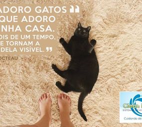 Clean House Sistemas de Higienização