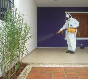 Antinset Dedetizadora e Desentupidora