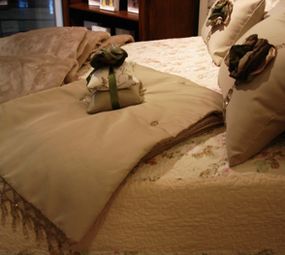 Salamandra Pedraria photo 3