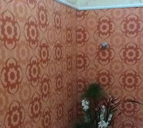 Dailys Bergesch Cursos de Massagem e Estética photo 5