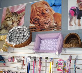 Estação Zen  - Pet-Shop, Banho e Tosa photo 4