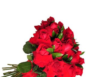 Confecção de Buquês de Rosas Floricultura Anie Flores, São José