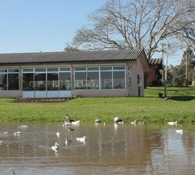 Sítio Merode photo 9