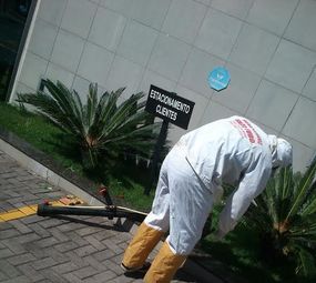 Dedetizadora Mata Tudo