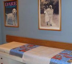 Cia de Vacinas photo 9