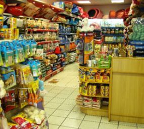 Maison Chien photo 3