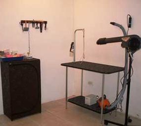 Espaço Animal Pet Shop photo 7