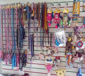 Pet Shop México  photo 5