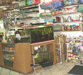 Campeiros do Sul - Agroveterinária photo 7