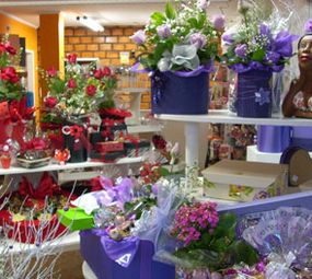 Chocolate Alaska photo 4