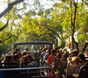 Linha Turismo photo 4