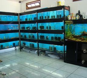 AquaFauna - Agropet  photo 5