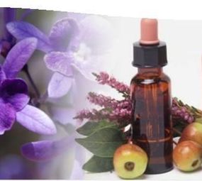 Terapia Holística, Reiki, Florais, Cristaloterapia, Cromoterapia com Vera M.Pires dos Reis